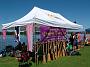 taree-dragonboat-regatta 029
